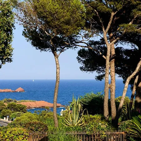公寓 Maison 2 Pieces 2 Pers Vue Sur Mer 76734 *